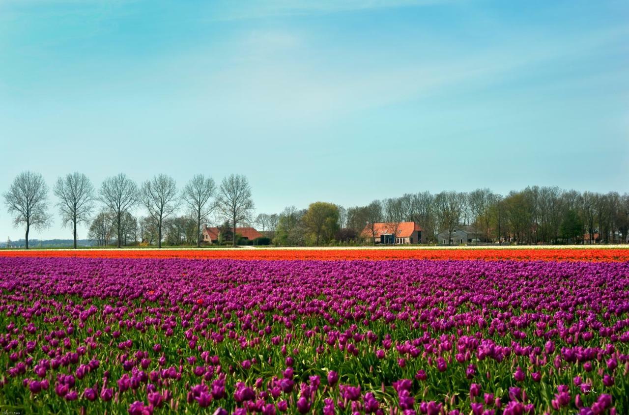 B&B De Strandhoeve Giethoorn Zewnętrze zdjęcie